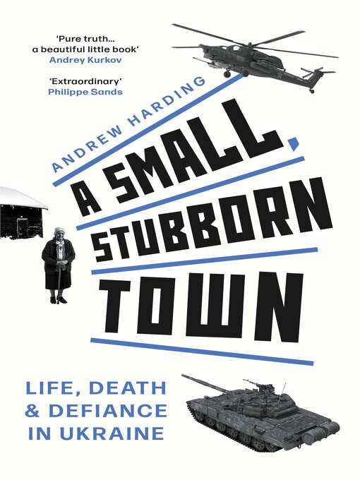 Title details for A Small, Stubborn Town by Andrew Harding - Available